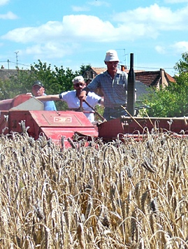 moisson ancienne